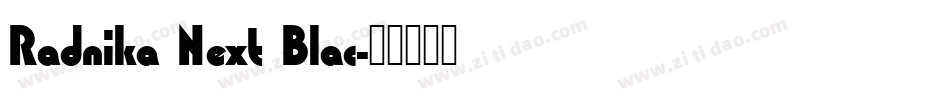 Radnika Next Blac字体转换
